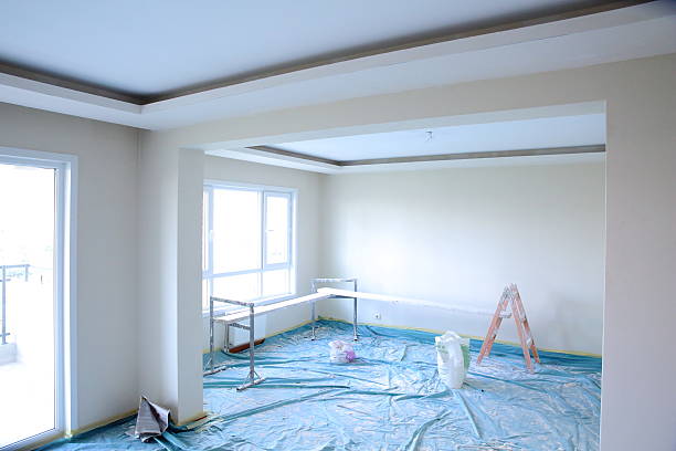 Best Drywall Removal and Disposal  in Level Plains, AL